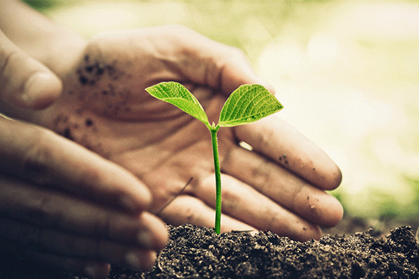 Sustentabilidade - Pelo meio ambiente e por todos nós